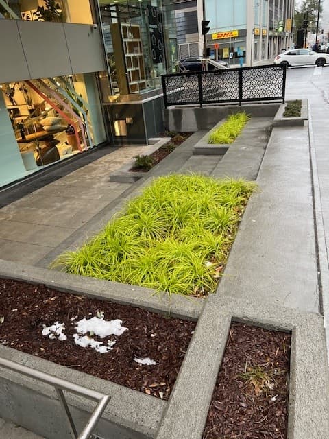 2001 Robert-Bourassa (after)